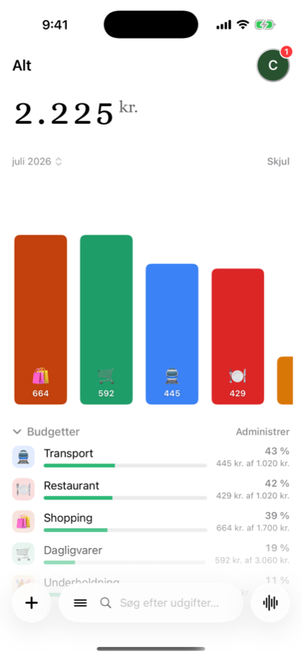 Månedsbudgetter pr. kategori
