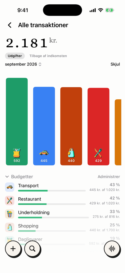 Månedsbudgetter pr. kategori