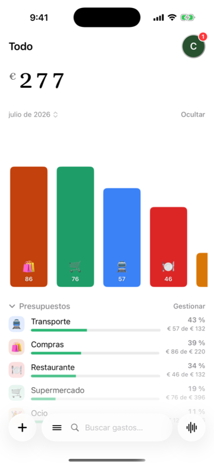 Presupuestos mensuales por categoría