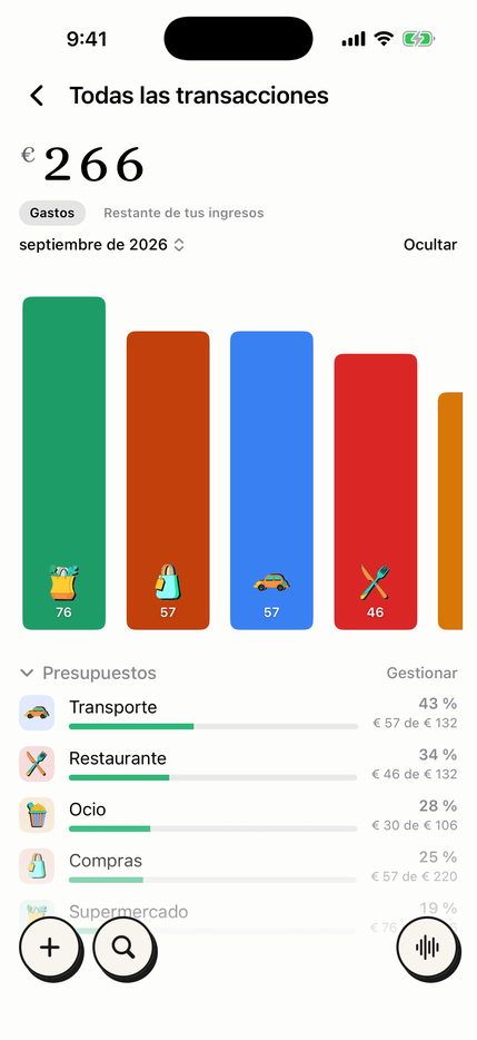 Presupuestos mensuales por categoría