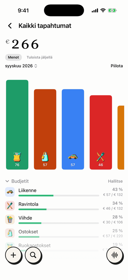 Kuukausibudjetit kategorioittain