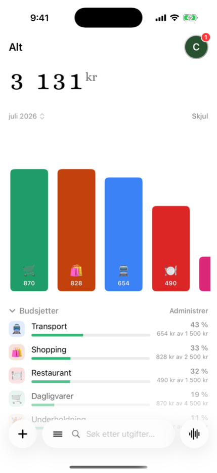 Månedsbudsjetter per kategori