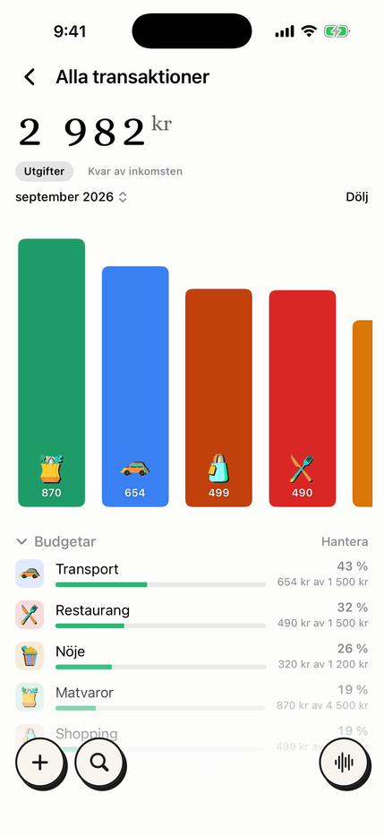Månadsbudgetar per kategori