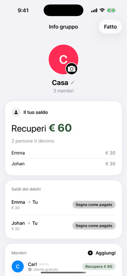 Una lista della casa condivisa con i saldi